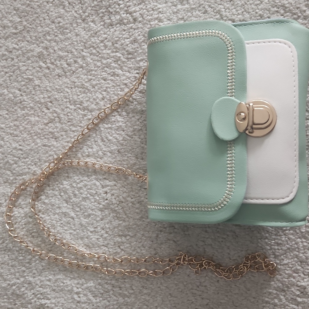 Small fashion bag light Green color